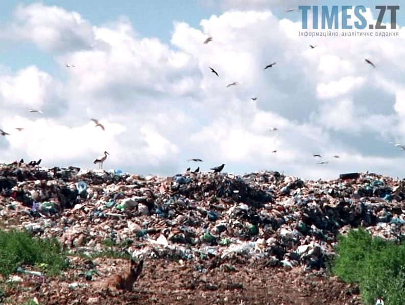 Проблема утилізації сміття в Житомирі | TIMES.ZT