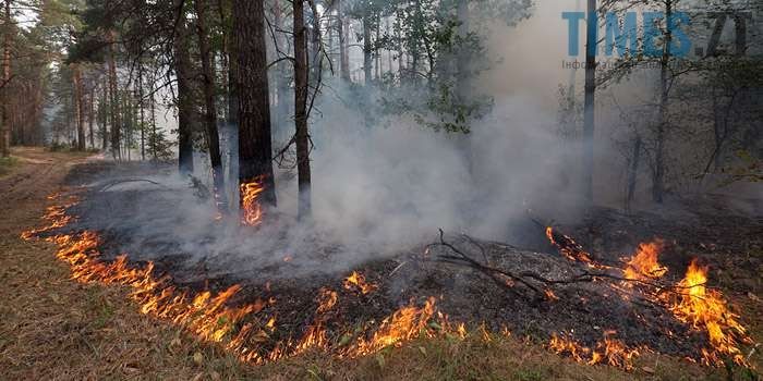 На Житомирщині горять ліси