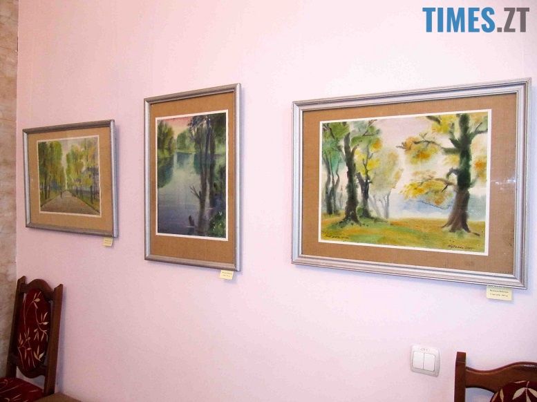 Картинна галерея у Житомирському літературному музеї | TIMES.ZT