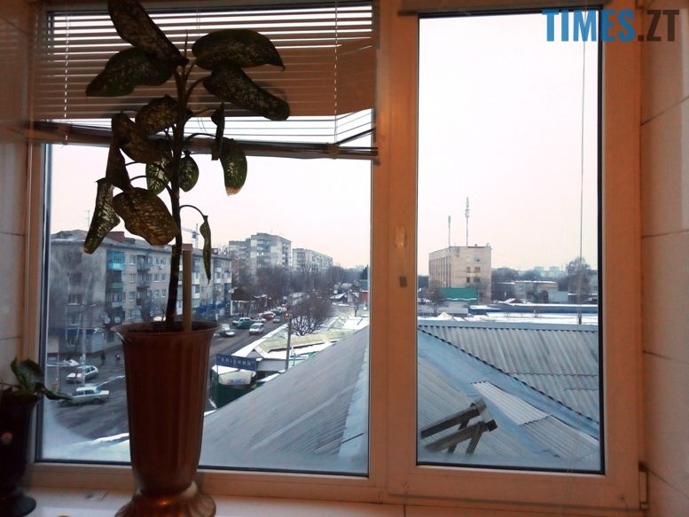 Тренажерний зал Muscle Hulk - вигляд з вікна | TIMES.ZT
