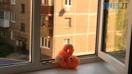 житомир новини