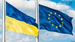 житомир новини