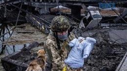 житомир новини