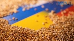 житомир новини
