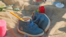 житомир новини
