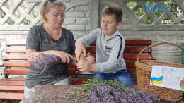 житомир новини