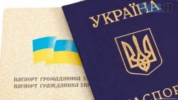 житомир новини