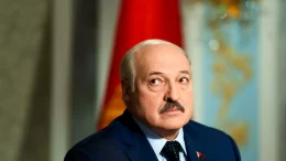 житомир новини