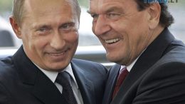 житомир новини