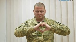 житомир новини
