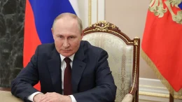житомир новини