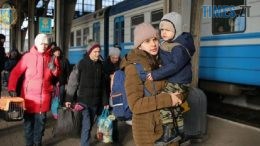 житомир новини