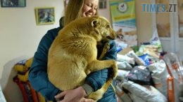 житомир новини