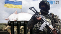 останні події житомир