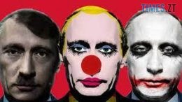 житомир новини