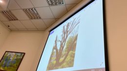 останні події житомир