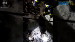 У Малині бійці ДСНС врятували собаку із пастки (ВІДЕО)