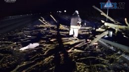 На Житомирщині рятувальники за добу 7 раз допомагали громадянам у нестандартних ситуація