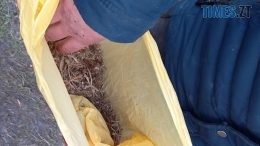 На Житомирщині правоохоронці вилучили у кількох громадян наркотичні засоби