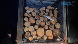 В Ушомирській громаді правоохоронці упіймали чергового крадія лісу