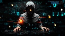 На Житомирщині кібершахраї ошукали чотирьох мешканців області на понад 160 тис. грн