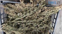 З оселі мешканця Брусилова правоохоронці вилучили півкіло наркосировини