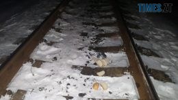На Хорошівщині під колесами поїзда загинув чоловік