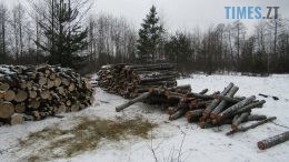 На Звягельщині правоохоронці упіймали "на гарячому" двох крадіїв деревини