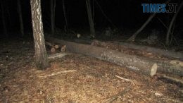 Правоохоронці упіймали "на гарячому" чоловіків, які викрали лісоматеріали з Барашівського лісництва