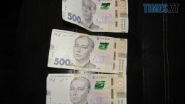 На Бердичівщині жінка хотіла захистити співмешканця, а в результаті відповідатиме за спробу надання хабара