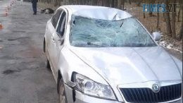 На одній з трас Житомирщини легковик збив лося