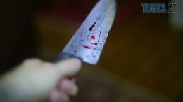 9 років проведе за гратами за вбивство рідної матері жителька Коростенщини