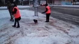 Крига та ожеледь: погода спричинила у Житомирі черговий колапс