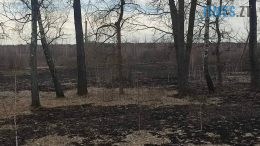 Сезон горіння сухостою на Житомирщині відкрито: за останню добу бійці ДСНС гасили сухостій на загальній площі 7 га