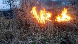 За останню добу на Житомирщині вогнеборці ліквідували 7 загорянь сухостою