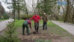 У Шодуарівському парку на зміну старожилу оселився новий мешканець