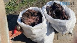 На Коростишівщині правоохоронці упіймали "на гарячому" серійних викрадачів електрокабелів