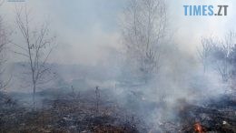 На Коростенщині через палаючий сухостій мало не загорілося кладовище