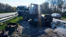 На Звягельщині правоохоронці розшукують свідків та очевидців смертельної ДТП (ФОТО)