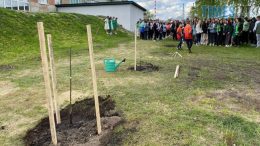 Житомирський ліцей №4 висадив дерева в рамках акції «Сади Перемоги» (ФОТО)