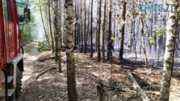 Увага! На Житомирщині оголошено найвищий рівень пожежної небезпеки