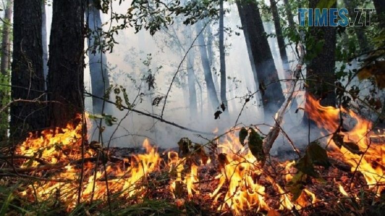 Увага! На Житомирщині оголошено надзвичайний рівень пожежної небезпеки