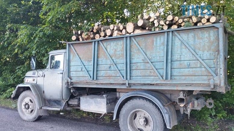 На Бердичівщині правоохоронці затримали чергового крадія лісу з повною вантажівкою дубових колод