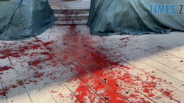 Кривава сесія: біля Житомирської міськради активіст зробив «червону доріжку» для мера та депутатів (ВІДЕО)