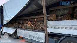 Житомирські патрульні зловили на трасі Київ — Ковель — Ягодин чергових крадіїв лісу