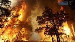 Цього тижня на Житомирщині оголошено надзвичайний рівень пожежної небезпеки