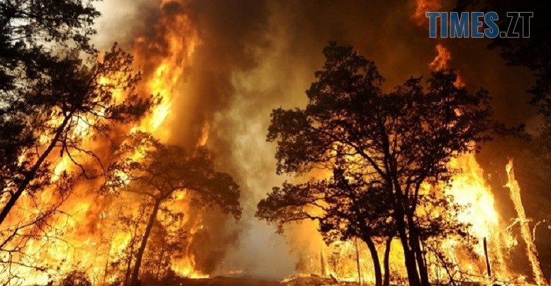 Цього тижня на Житомирщині оголошено надзвичайний рівень пожежної небезпеки
