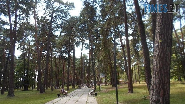 Житомирська влада вирішила створити черговий "плац": у Гідропарку планують видалити 64 дерева