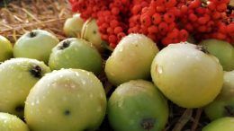 Готуємо кошик з фруктами до церкви і страви з яблуками вдома: 19 серпня святкуємо Другий Спас