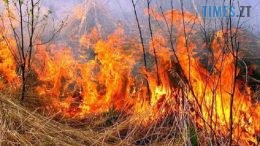 З початку року на Житомирщині через паління сухостою вигоріло понад 241 га